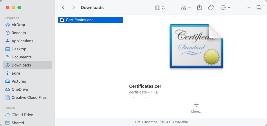X.509 certificate