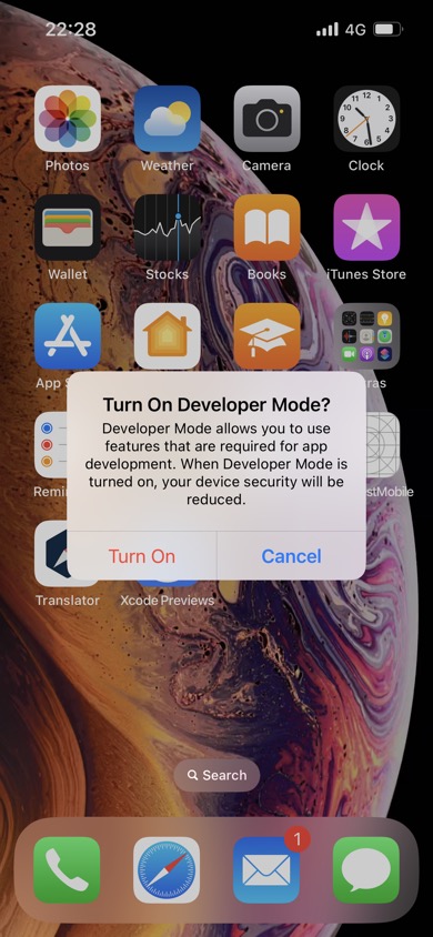 how to on developer mode on iphone xr